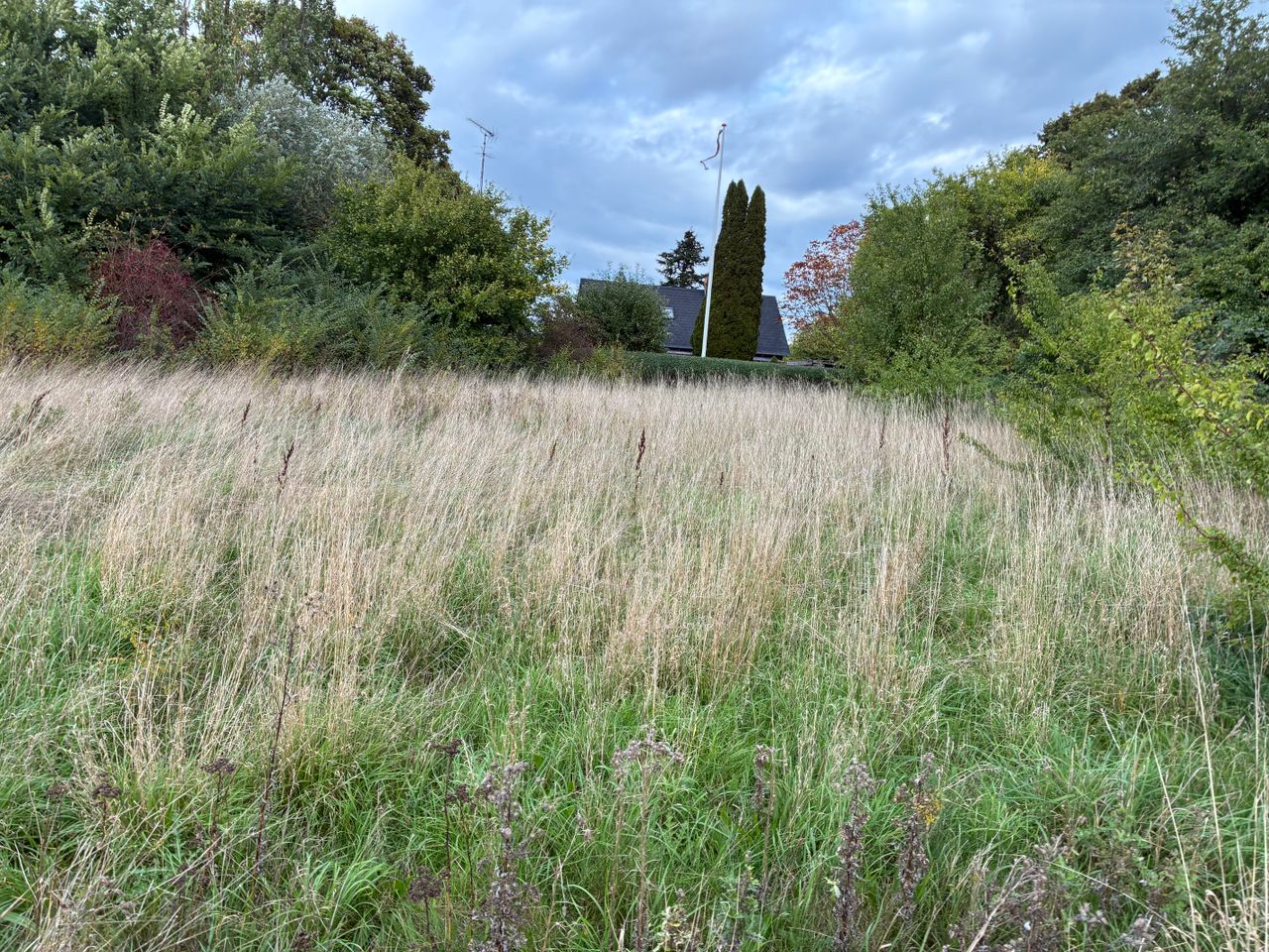 image 04