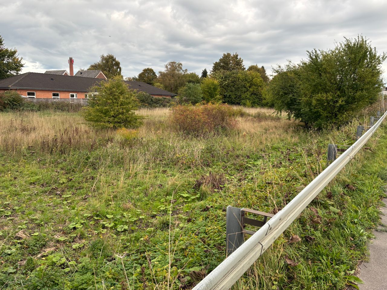 image 03